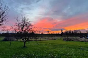 3395 Mack Rd, Everson, WA 98247 - Photo 36