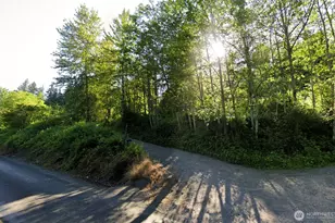 31822 Orville Rd E, Graham, WA 98338 - Photo 1