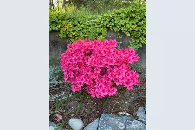 26733 227th Avenue SE, Maple Valley, WA 98038 - Photo 36