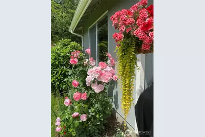 26733 227th Avenue SE, Maple Valley, WA 98038 - Photo 32