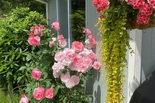 26733 227th Ave SE, Maple Valley, WA 98038 - Photo 32