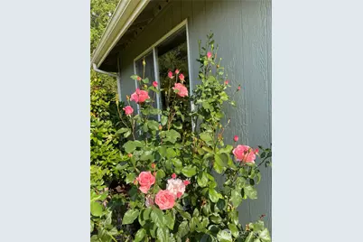 26733 227th Avenue SE, Maple Valley, WA 98038 - Photo 30