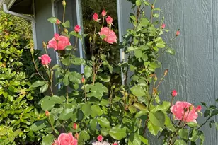 26733 227th Ave SE, Maple Valley, WA 98038 - Photo 30