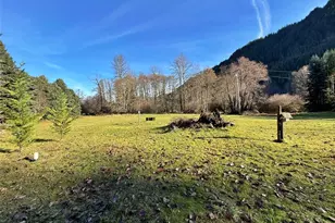 128 Kauer Rd, Randle, WA 98377 - Photo 6