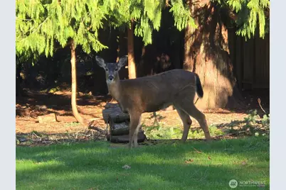11629 20th Street SE, Lake Stevens, WA 98258 - Photo 10