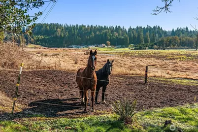 17035 300th Avenue NE, Duvall, WA 98019 - Photo 36