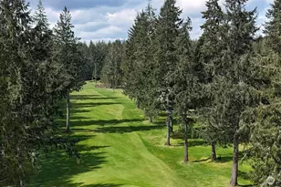 501 E St Andrews Dr, Shelton, WA 98584 - Photo 28