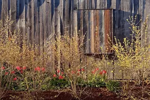 6528 23rd Ave SW, Seattle, WA 98106 - Photo 34