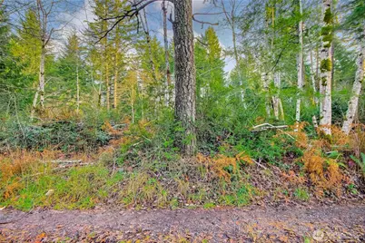 1 E Jared Road, Shelton, WA 98584 - Photo 6