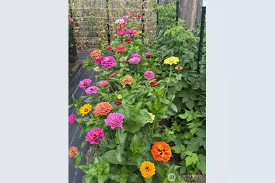 1057 Cascade Lane, Camano Island, WA 98282 - Photo 38