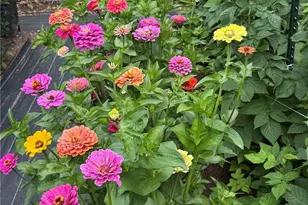 1057 Cascade Ln, Camano Island, WA 98282 - Photo 38