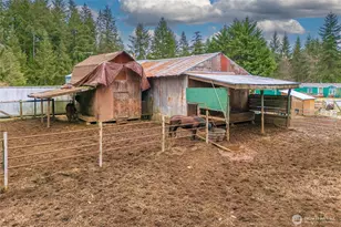 16706 254th Ave Ct E, Buckley, WA 98321 - Photo 10