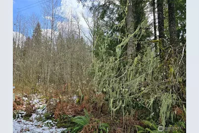 31518 557th Street Ct, Ashford, WA 98304 - Photo 1