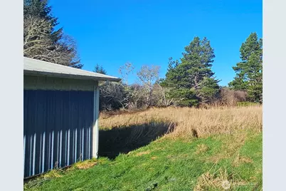 2007 41st Place, Long Beach, WA 98631 - Photo 8