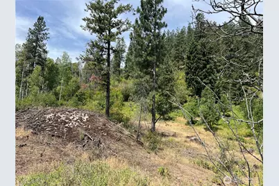 0 1 Tbd Mitchell Road, Northport, WA 99157 - Photo 2