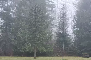 121 E Garys Melody Ln, Shelton, WA 98584 - Photo 40