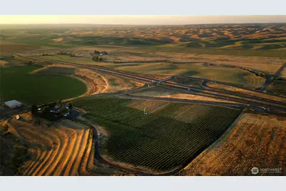 406 A Lower Dry Creek Road, Walla Walla, WA 99362 - Photo 6