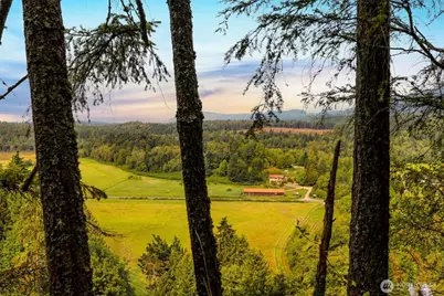 25193 Walker Valley Road, Mount Vernon, WA 98274 - Photo 34