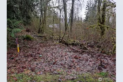16006 Shuksan Rim Drive, Glacier, WA 98244 - Photo 2