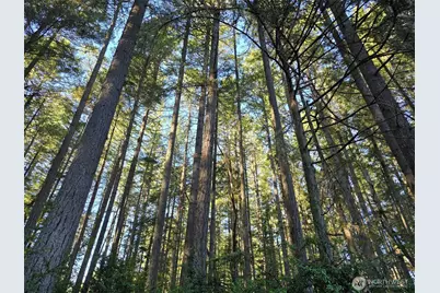 11624 Mill Place, Anderson Island, WA 98303 - Photo 2