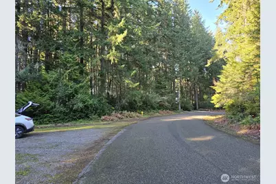 11620 Mill Place, Anderson Island, WA 98303 - Photo 6