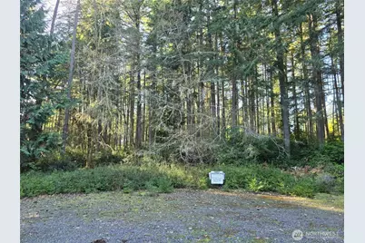 11620 Mill Place, Anderson Island, WA 98303 - Photo 2