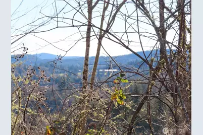 0 Xxx Larson Road, Mossyrock, WA 98564 - Photo 12