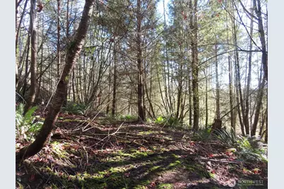 0 Xxx Larson Road, Mossyrock, WA 98564 - Photo 26