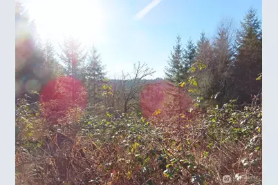 0 Xxx Larson Road, Mossyrock, WA 98564 - Photo 30