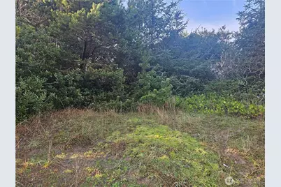 276 S Wynoochee Drive SW, Ocean Shores, WA 98569 - Photo 8