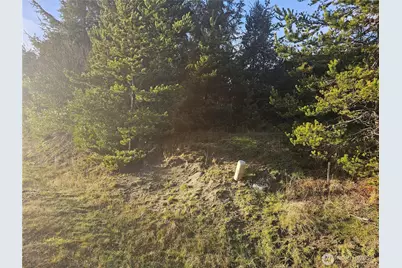 276 S Wynoochee Drive SW, Ocean Shores, WA 98569 - Photo 6