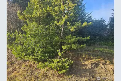 276 S Wynoochee Drive SW, Ocean Shores, WA 98569 - Photo 2