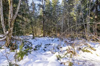 0 Firestation Avenue NW, Seabeck, WA 98380 - Photo 2