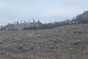 172 Cayuse Mountain Rd, Tonasket, WA 98855 - Photo 22