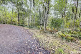 251 Mystery Dr, Amboy, WA 98601 - Photo 20