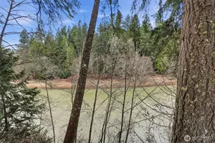 17148 Briar St SE, Yelm, WA 98597 - Photo 24