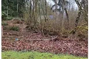 16007 Shuksan Rim Dr, Deming, WA 98244 - Photo 1