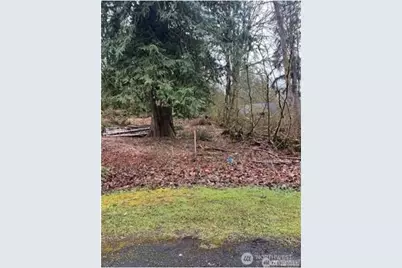 16007 Shuksan Rim Drive, Deming, WA 98244 - Photo 2