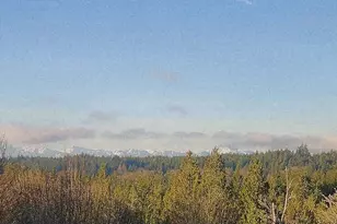 16908 61st St NW, Vaughn, WA 98394 - Photo 28