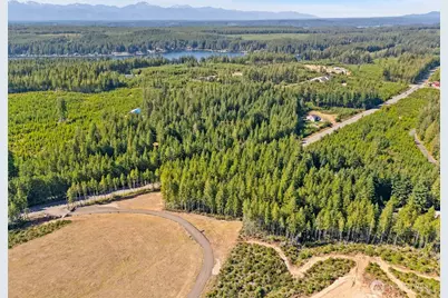 0 Tr 3 E Mason Lake Road, Grapeview, WA 98546 - Photo 4