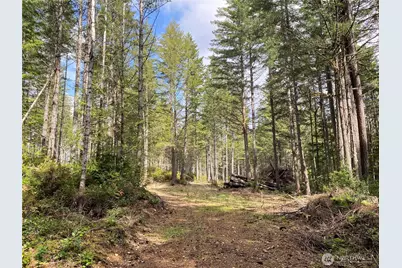 0 Tr 3 E Mason Lake Road, Grapeview, WA 98546 - Photo 10