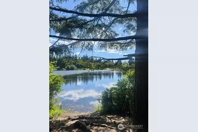 17721 Clear Lake Boulevard SE, Yelm, WA 98597 - Photo 4