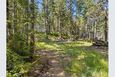 0 Tr 4 E Mason Lake Road, Grapeview, WA 98546 - Photo 2