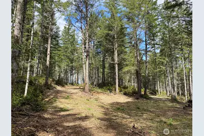 0 Tr 4 E Mason Lake Road, Grapeview, WA 98546 - Photo 10
