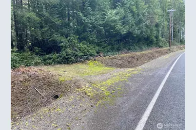 0 Tr 4 E Mason Lake Road, Grapeview, WA 98546 - Photo 8