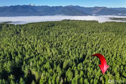 0 Minnig Lane NW, Seabeck, WA 98380 - Photo 10