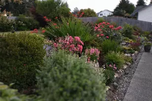 2460 215th Pl SW, Brier, WA 98036 - Photo 24