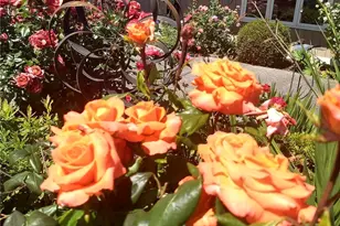 2460 215th Pl SW, Brier, WA 98036 - Photo 30