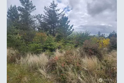 637 E Chance A La Mer NE, Ocean Shores, WA 98569 - Photo 4