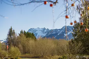 36721 Swede Heaven Rd, Arlington, WA 98223 - Photo 34